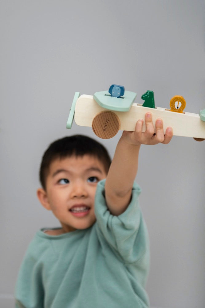 PERSONALISIERTES Spielflugzeug aus Holz mit Name graviert Motorikspielzeug Holzflugzeug ab 18 Monate